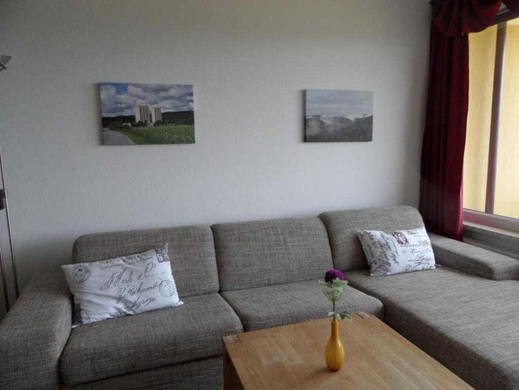 Ferienapartment mit Schwimmbad und Bergblick Braunlage Exterior foto